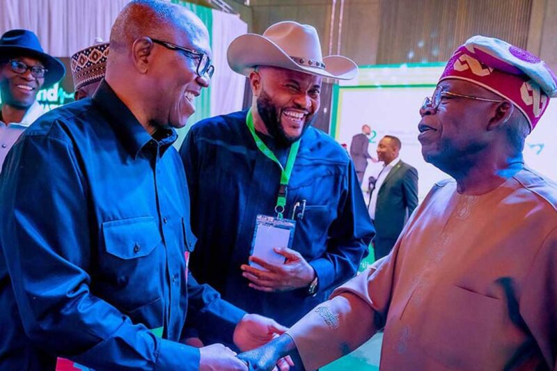 Tinubu Has Done His Best – Peter Obi
