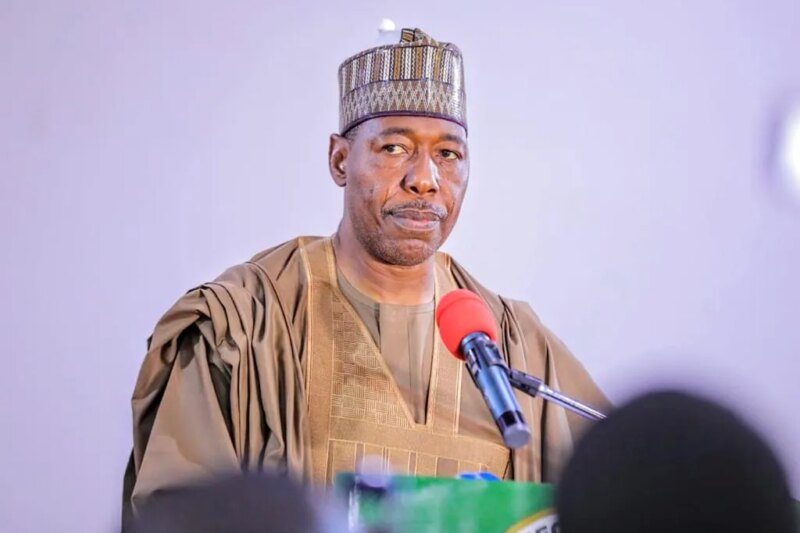 Borno Gov Approves N1.65bn Scholarship For 300 CJTF Orphans, Others