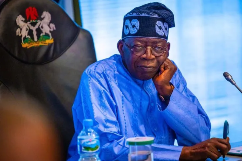 Two People Head One Agency Under Tinubu’s Government