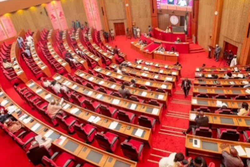 Xenophobic Attacks: Senate Declines Calls for FG to Take Over MTN, DStv