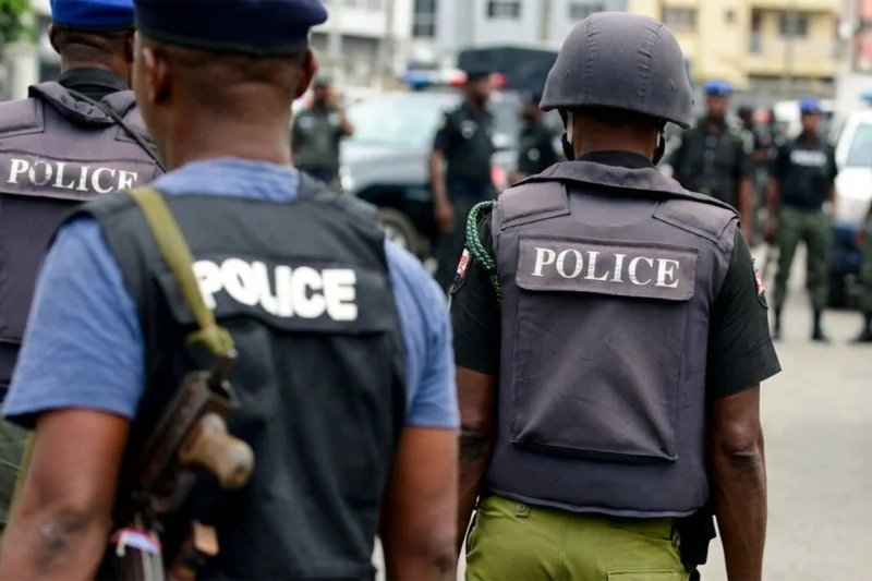 Eight Killed, Five Injured in Benue Community Attack — Police