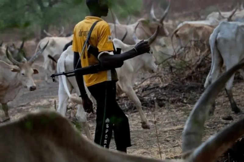 Tragedy as Suspected Armed Herdsmen Kill 10, Injure 15 in Fresh Benue Attack