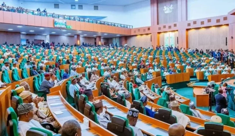 Reps in Heated Session Over Motion to Summon Tinubu